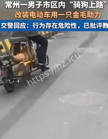 男子骑狗上路