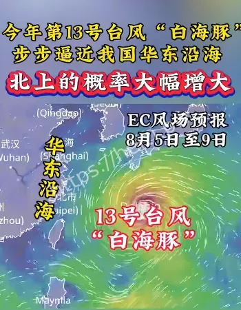 台风白海豚